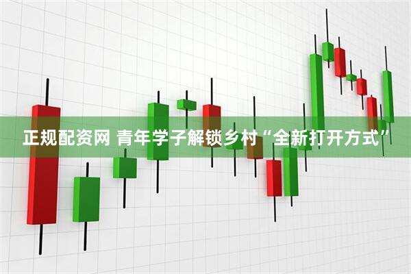 正规配资网 青年学子解锁乡村“全新打开方式”