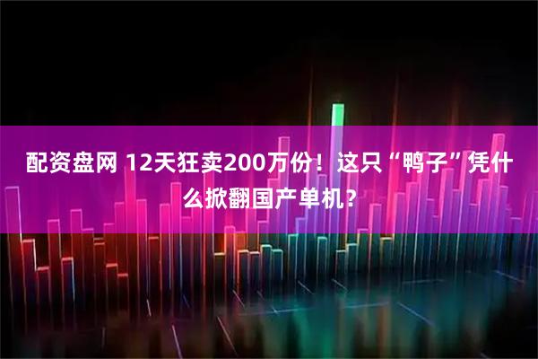 配资盘网 12天狂卖200万份！这只“鸭子”凭什么掀翻国产单机？
